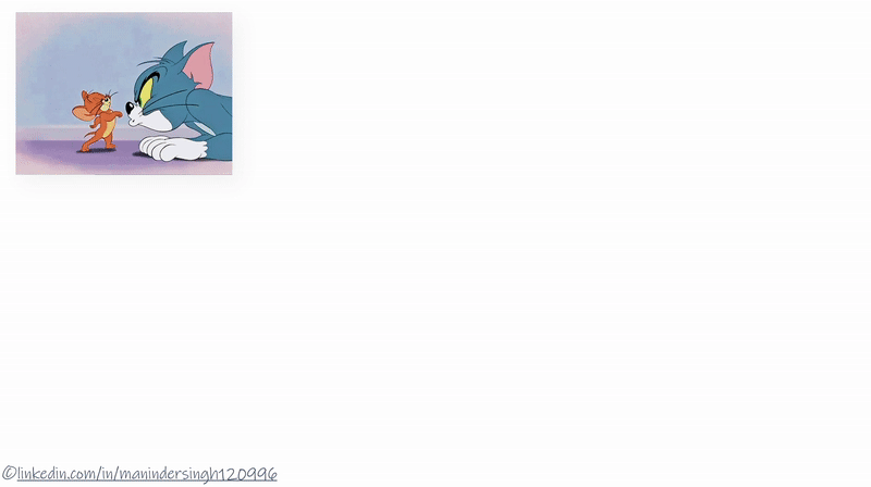 CLS token interaction diagram